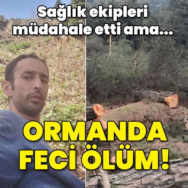 Ormanda feci ölüm!