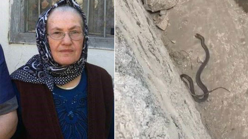 Üzerine bastığı yılan ölümü oldu!