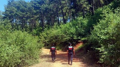 Balıkesir'de ormanlık alanlara giriş yasağı