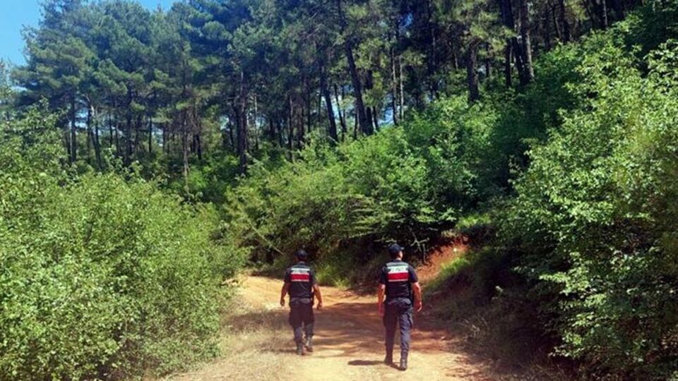 Balıkesir'de ormanlık alanlara giriş yasağı