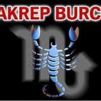 19 Kasım hangi burç?