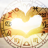 21 Kasım hangi burç?