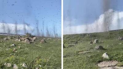 Yeşil sinekler hortum görüntüsü oluşturdu