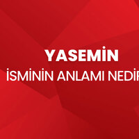 Yasemin isminin anlamı nedir?