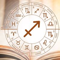 2 Aralık hangi burç?