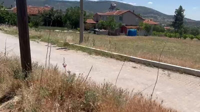 Jandarma 'pisi pisi otu' detayından yakaladı