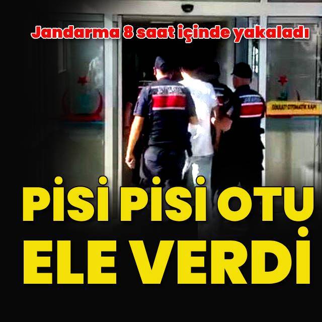 Jandarma 'pisi pisi otu' detayından yakaladı