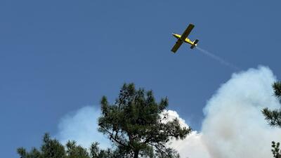 Bursa, Antalya, Muğla ve Adana'da orman yangınları