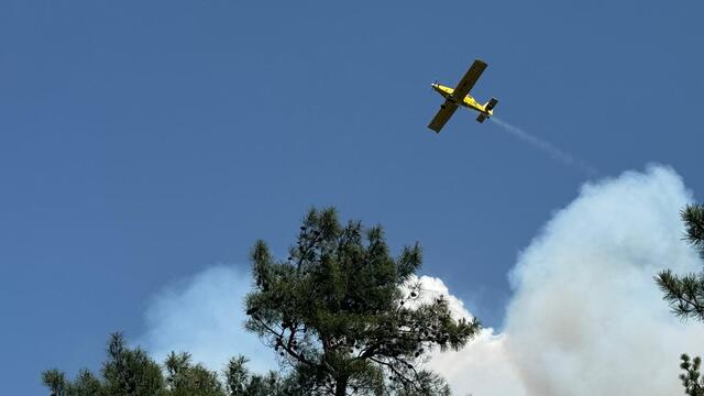 Bursa, Antalya, Muğla ve Adana'da orman yangınları