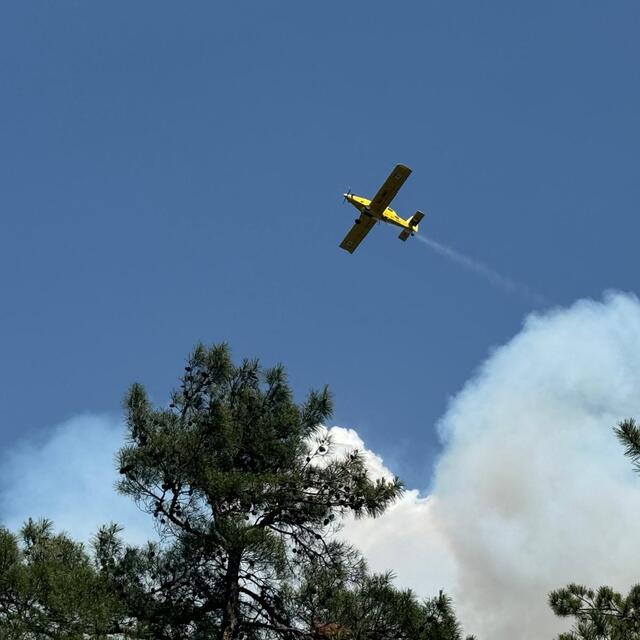 Bursa, Antalya, Muğla ve Adana'da orman yangınları