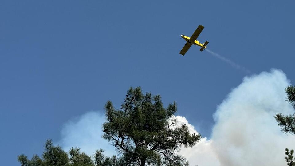 Bursa, Antalya, Muğla ve Adana'da orman yangınları
