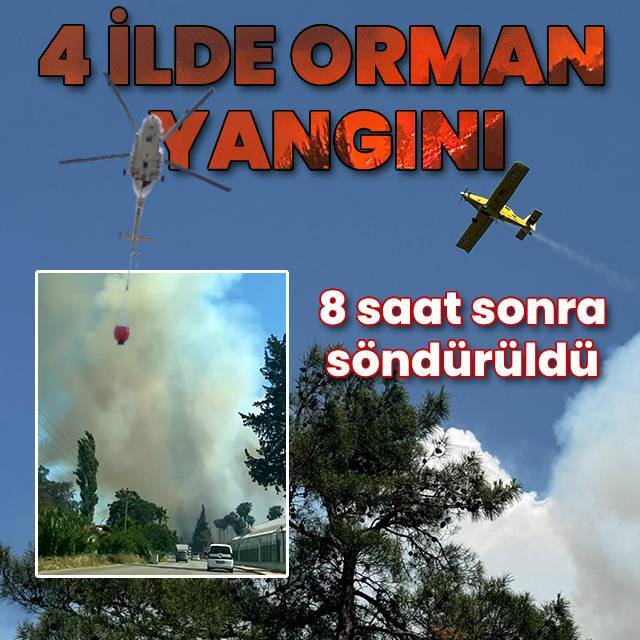 Bursa, Antalya, Muğla ve Adana'da orman yangınları