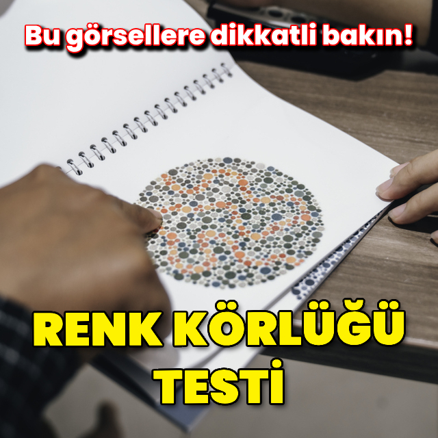 Renk körlüğü testi: Bu görsellere dikkatli bakın!