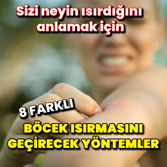 8 farklı böcek ısırmasını geçirecek yöntemler