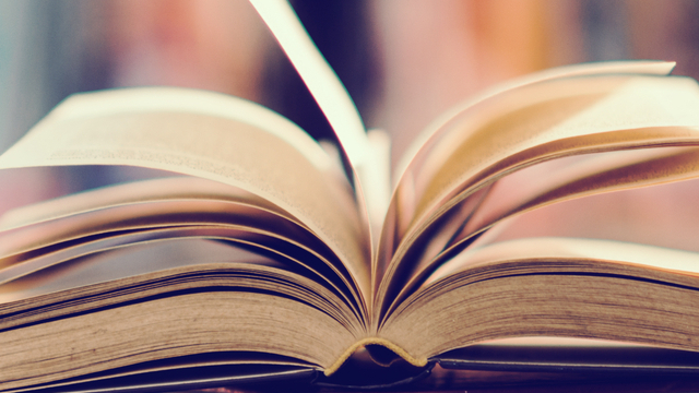 Kitaplar bize ne yapar?