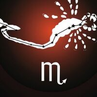 15 Kasım hangi burç?