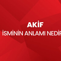 Akif isminin anlamı nedir?