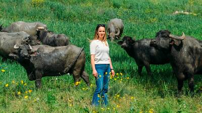 İstanbul Bienali 'Manda Festivali'