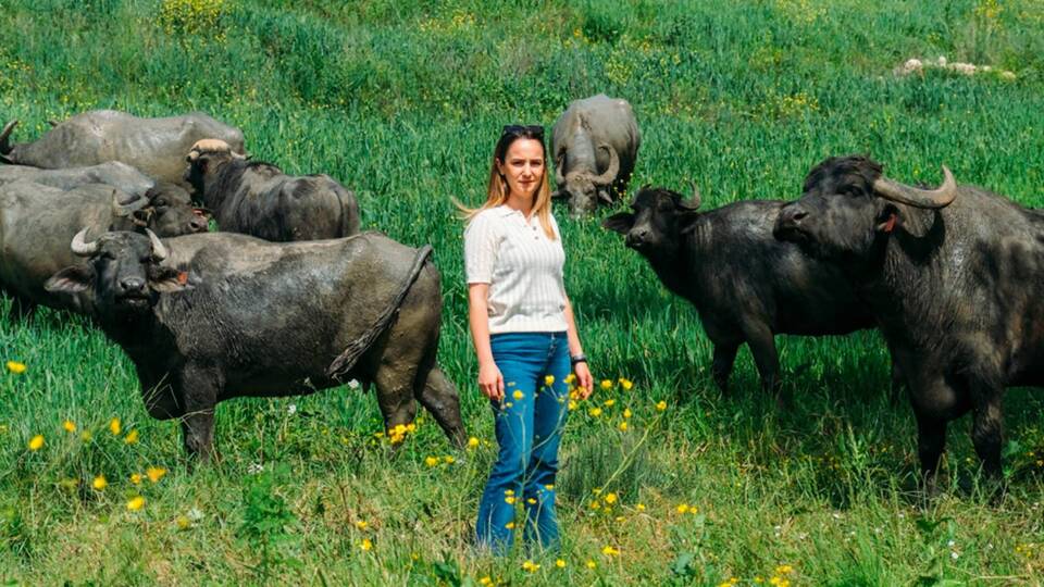 İstanbul Bienali 'Manda Festivali'