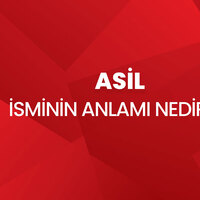 Asil isminin anlamı nedir?
