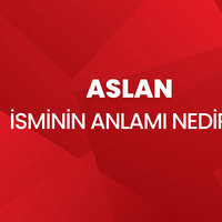Aslan isminin anlamı nedir?