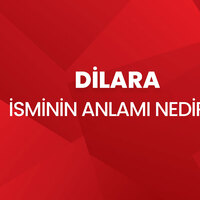 Dilara isminin anlamı nedir?