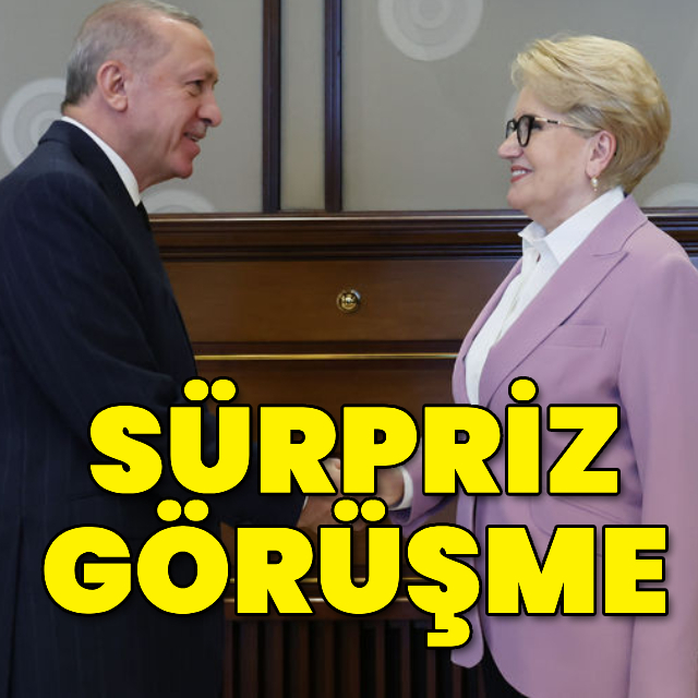 Cumhurbaşkanı Erdoğan, Akşener ile görüştü
