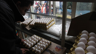 Kuş gribinden ilk ölüm!