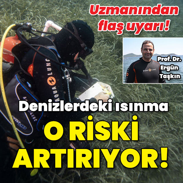 Uzmanından flaş uyarı! Denizlerdeki ısınma o riski artırıyor!