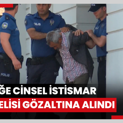 Bakırköy'de köpeğe cinsel istismar şüphelisi gözaltına alındı