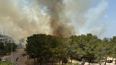 Antalya'da yangın kontrol altında!