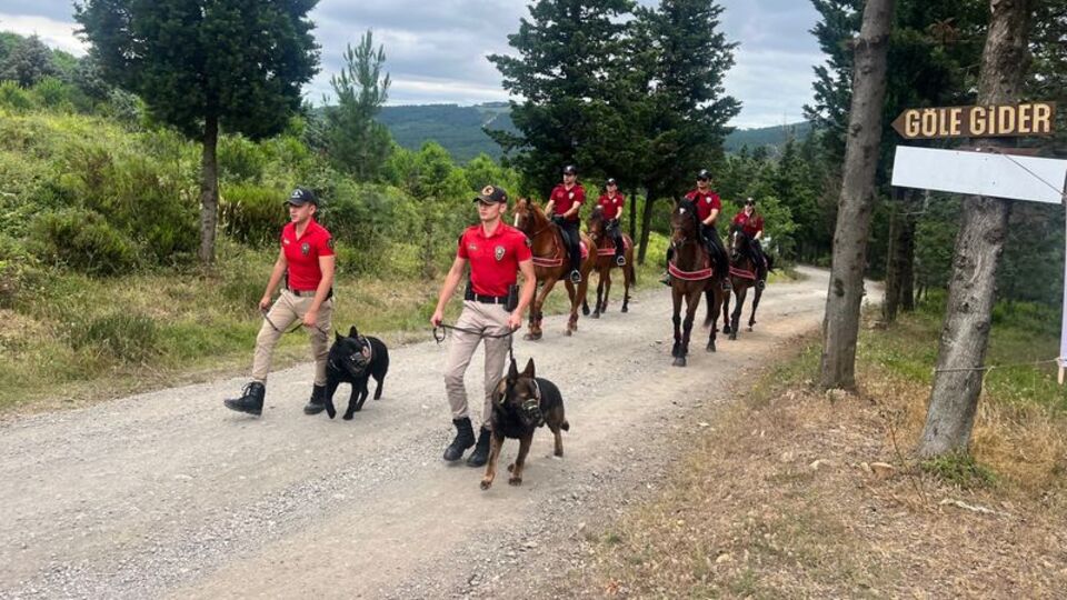 İstanbul Valiliği'nden orman tedbirleri açıklaması