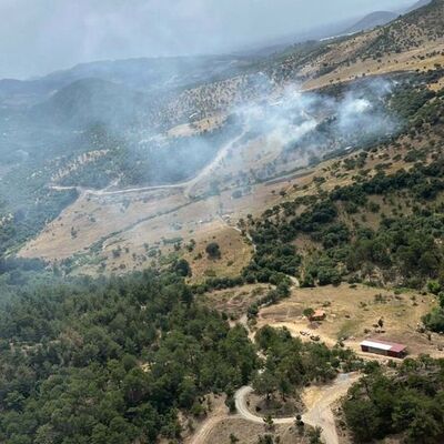 Balıkesir'de orman yangını!