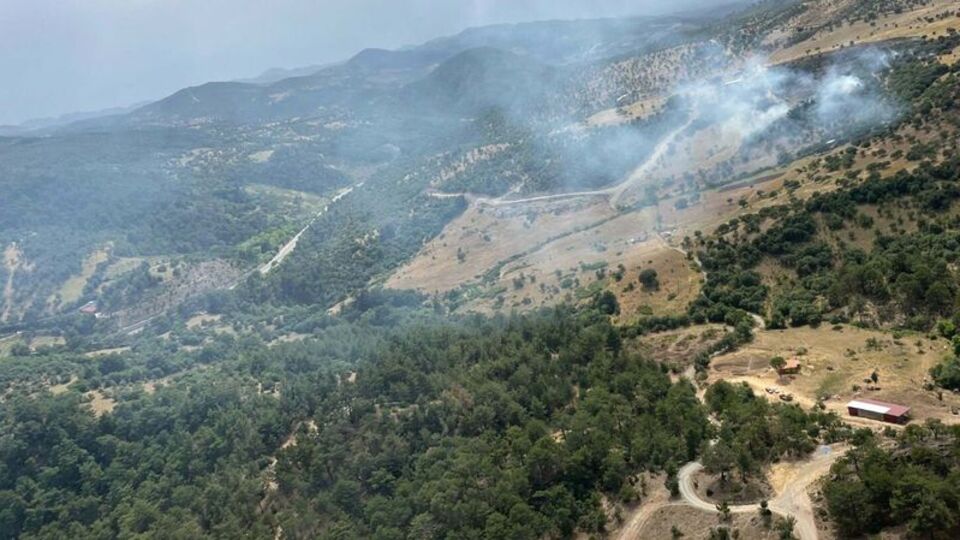 Balıkesir'de orman yangını!