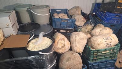 Tonlarca 'sahte gıda maddesi' ele geçirildi