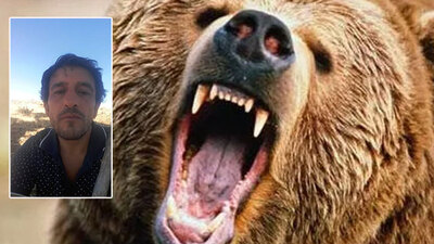 Türkiye'de yaşandı! Katil bozayı!