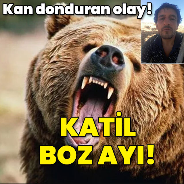 Türkiye'de yaşandı! Katil bozayı!