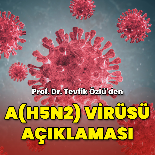 Prof. Dr. Özlü’den A (H5N2) açıklaması
