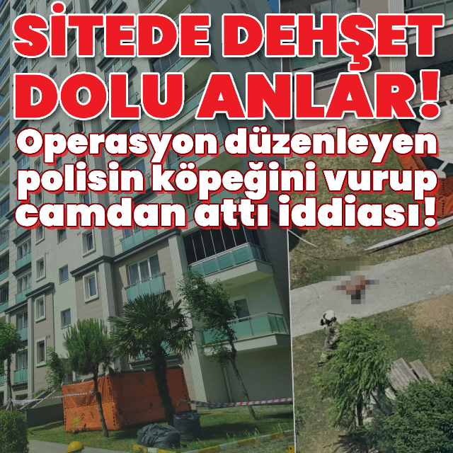 'Polis köpeğini' vurup camdan attı iddiası!