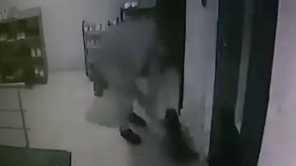 Vicdansız! Kediye sopayla saldırdı