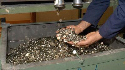 Madeni 5 TL'nin tedavüle çıkarılması tebliği Resmi Gazete'de