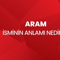 Aram isminin anlamı nedir?