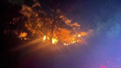 2 ilde yangın! 310 dönüm yandı