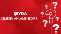 Şeyda isminin anlamı nedir?