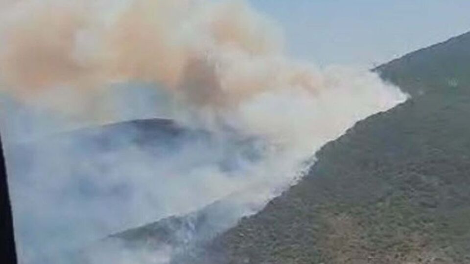 Urla'da orman yangını!