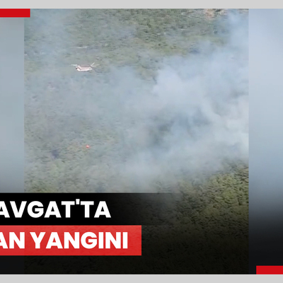 Manavgat'ta çıkan orman yangını kontrol altına alınmaya çalışılıyor