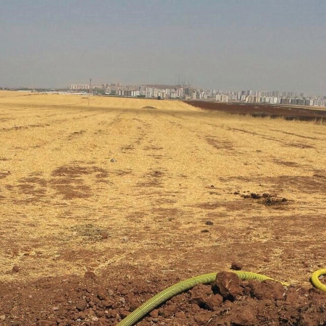 12 kardeşin 10 bin dönümlük arazi savaşı: Husumette 4. cinayet