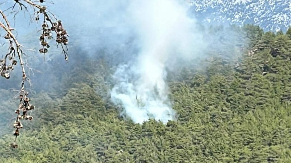 Manavgat'taki yangın kontrol altında