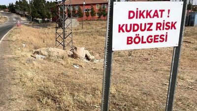 Hasta köpek vakasında 1 tutuklama