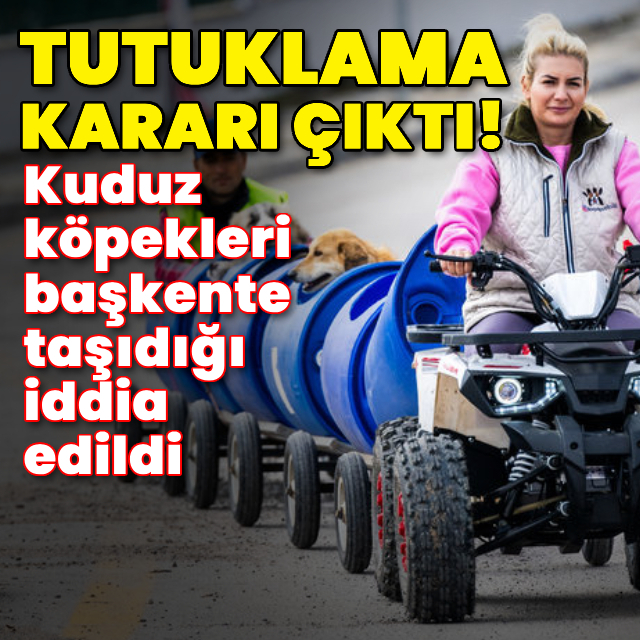 Hasta köpek vakasında 1 tutuklama